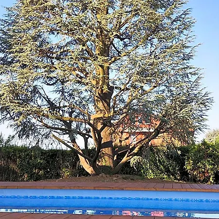 Villa Cresto-3